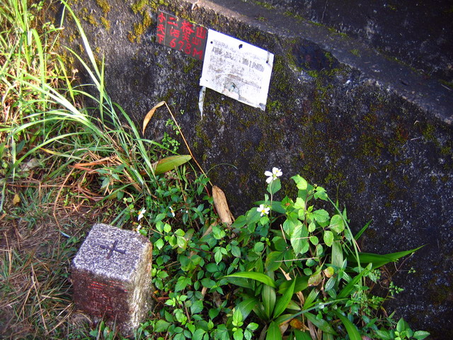 二格山主峰678m[url=http://blog.xuite.net/lee325/mountain/10150223]早安登山[/url]