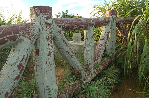 野柳岬山 照片所有人：蕭朗