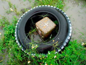 宜蘭 五結 宏國一等三角點