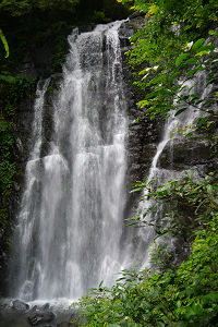 2012-0610 新北市三峽區 滿月圓