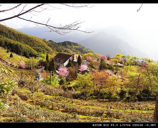 ___________________ 072.jpg