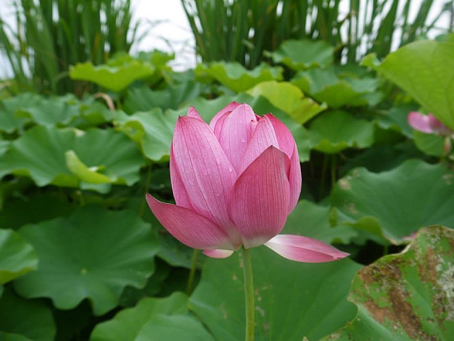 1004564_10201399911020401_1848790233_n