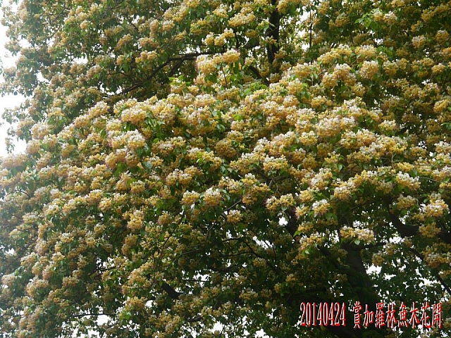 10246767_10203783841777180_5794303487867178102_n