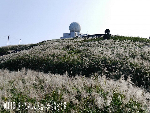 10370979_10205328077422106_8608179355710814006_n