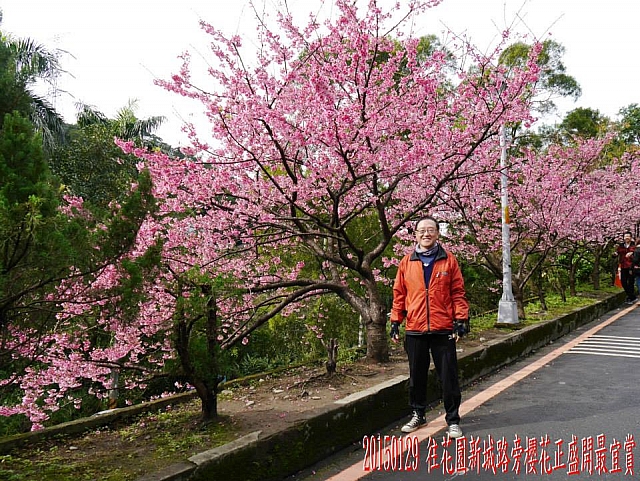 10408691_10206028947983432_932983899487987757_n