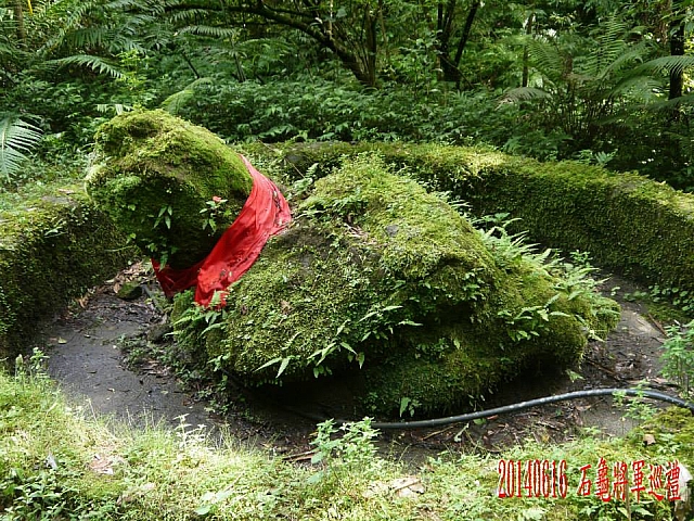 10451166_10204187053937232_6605224231171495801_n