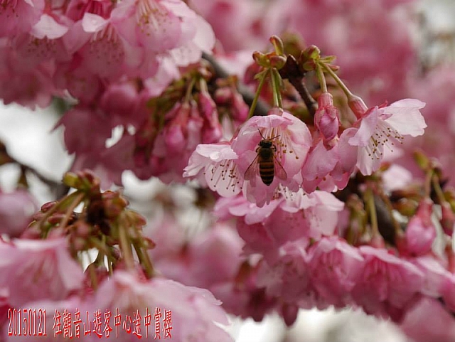 10689504_10205963822875345_3387938447624941319_n