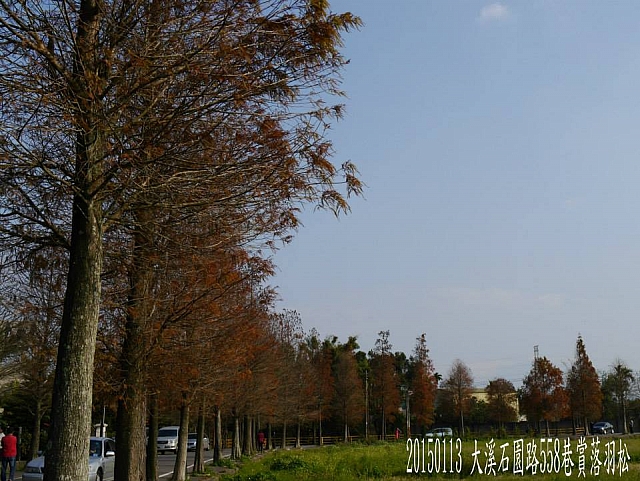 10891581_10205902199734805_2749916054449962925_n