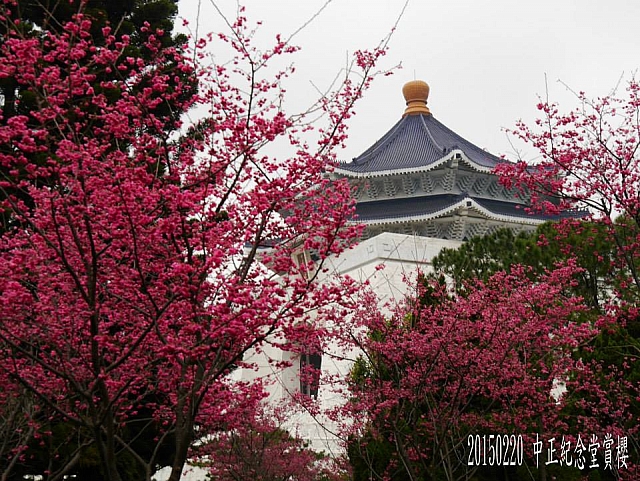 11002512_10206195132817949_449481725050776369_n