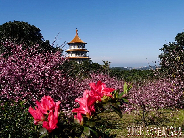 11051928_10208800338346459_2054963101600135285_o