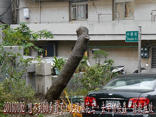 12484603_10208506428038885_1991338126568767765_o