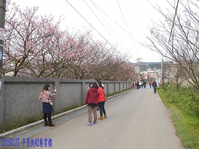 12646824_10208681682020125_3702322722019226688_o