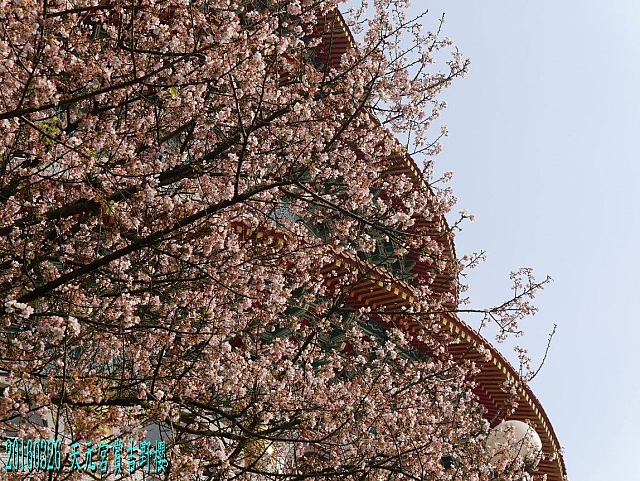 12671972_10209177524815885_494490367956315082_o