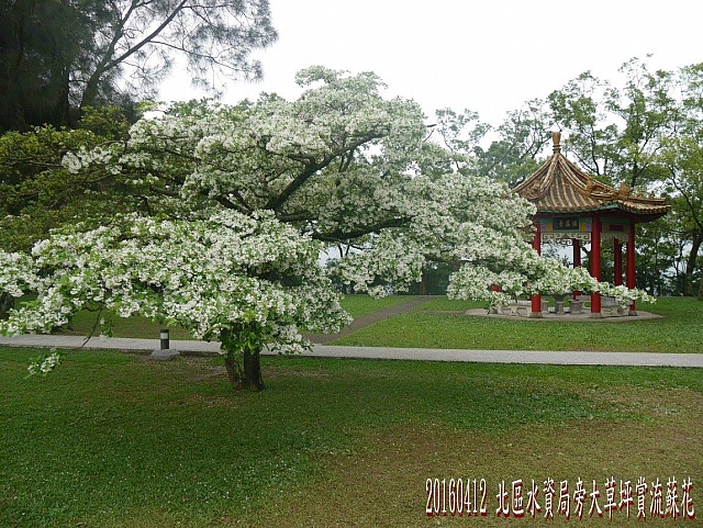 12977144_10209359913335484_9034990153719770120_o