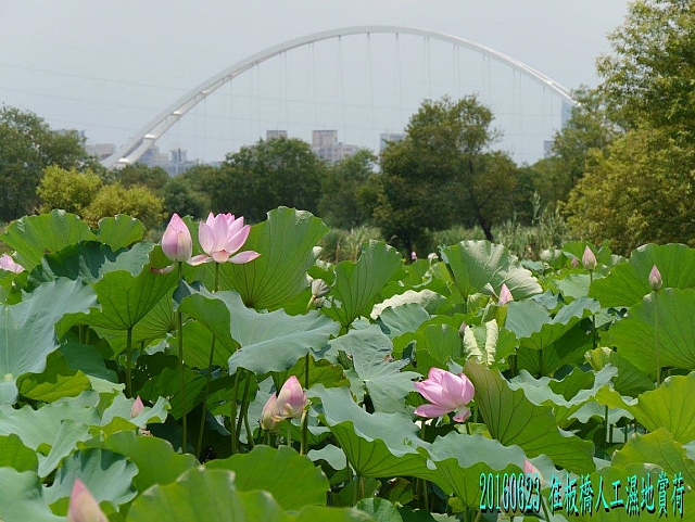 13490802_10209912036618221_5884055038024856540_o