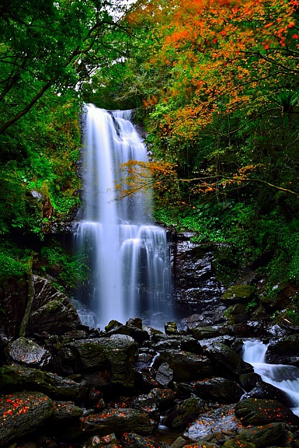 1468676_619311031439641_998297127_n