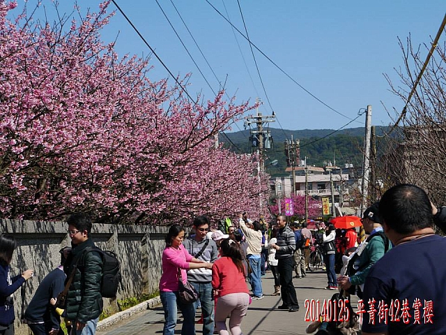 1546079_10203147646672700_1758443047_n