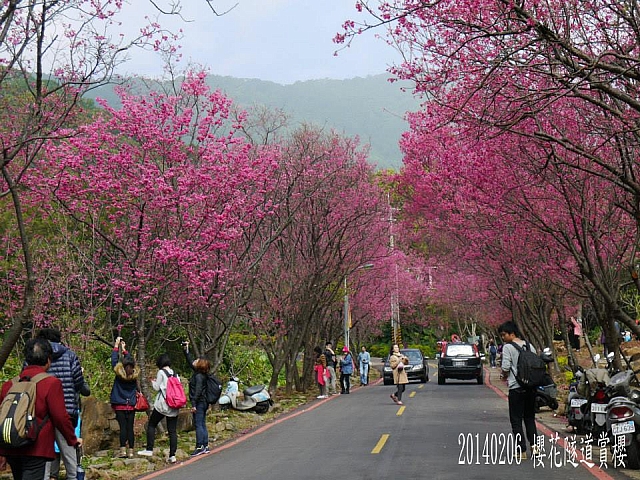 1618643_10203239755615366_1980098351_n