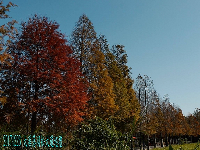 26114600_10215293525072069_3910790461547781625_o