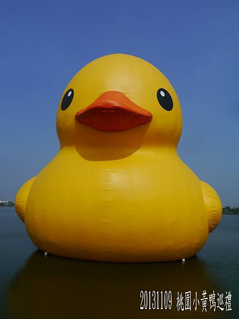 994955_10202534942715484_1256620763_n