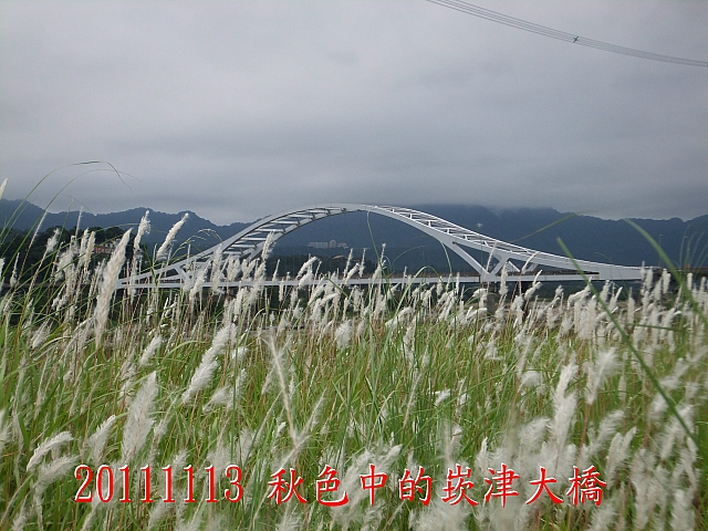 DSCF8418
