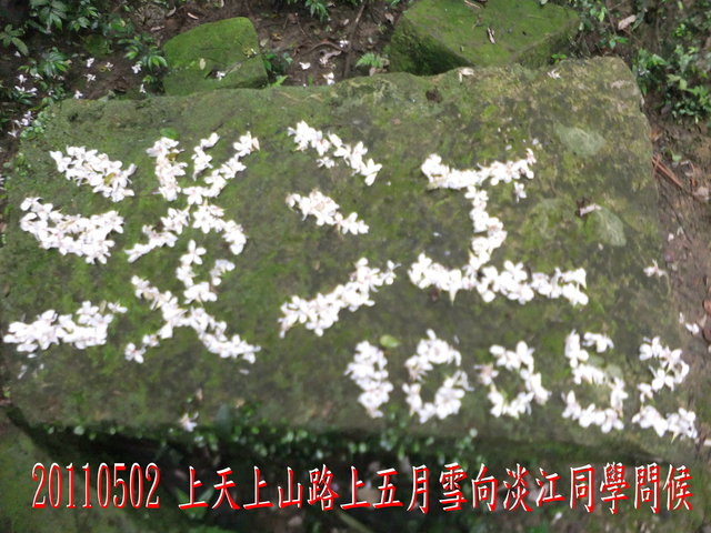 p130433395122