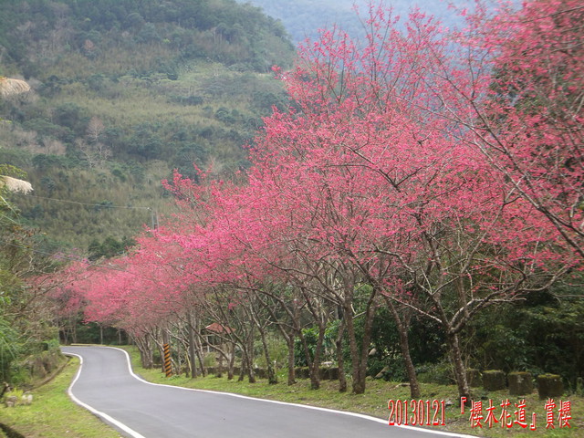 p135878582144