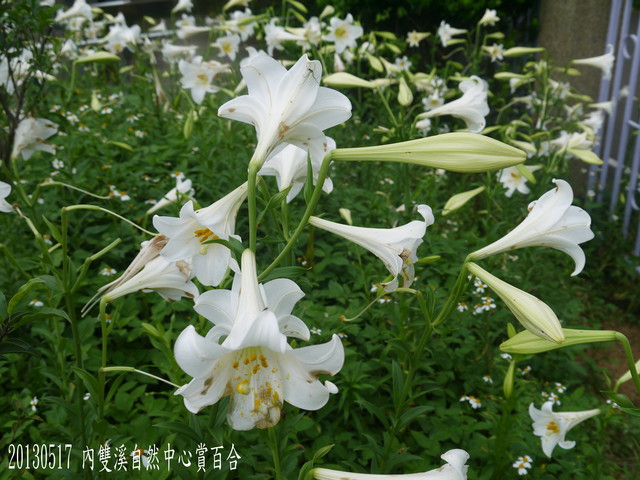 p136879682769