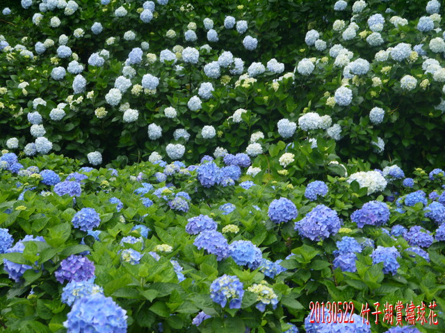 p136923092262