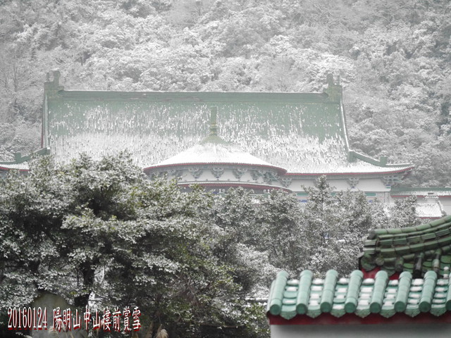 p145364548486_640x640