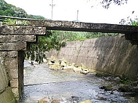 坪林鄉大舌湖派出所後方古橋