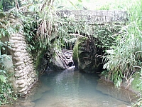 騎龍古道糯米橋２