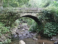 騎龍古道糯米３