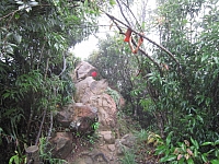 皇帝殿西峰岩稜