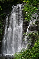 2012-0610 新北市三峽區 滿月圓