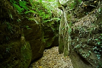 2012-0714 彰化市 八卦山一線天步道