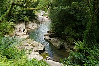 2012-0715 新北市坪林區 金瓜寮魚蕨步道