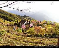 ___________________ 072.jpg