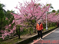 10408691_10206028947983432_932983899487987757_n