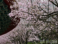 10420065_10206401136127903_7051933013088381653_n