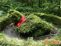 10451166_10204187053937232_6605224231171495801_n