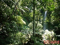 10478144_10204325890408057_952900648176684538_n