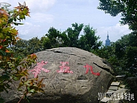 10492302_10204455103198296_6464613168135533368_n