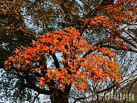 10885506_10205734019890414_342111655297410433_n