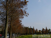 10891581_10205902199734805_2749916054449962925_n