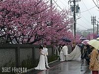 10940603_10206005556038648_9167603918704355669_n