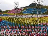 10987008_10206172436610558_6633770853076654196_n