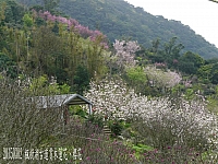 11038399_10206270891111859_5235825465961181638_n