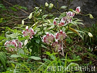 11903765_10207683110616464_341229771919378430_n