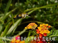 1236695_10202090828132897_631012308_n